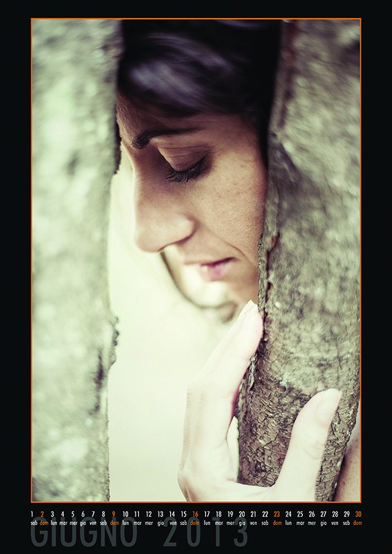 Calendar 2013